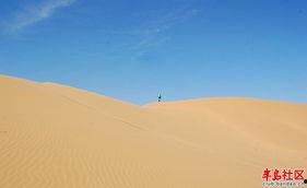 沙漠一号,探寻古丝绸之路的神秘遗迹