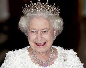 销冠女王永不妥协,无畏挑战，成就辉煌之路